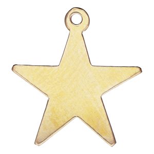 14.0mm Star Charm