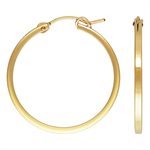 1.9x28.0mm Square Tube Eurowire Hoop 1.9x28.0mm Square Tube Eurowire Hoop