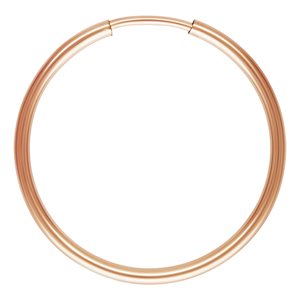 1.25x20mm Endless Hoop