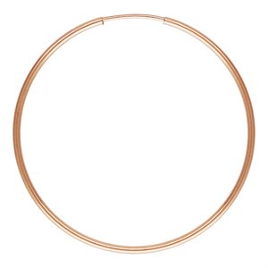 1.25x38mm Endless Hoop