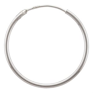 1.25x24.0mm Endless Hoop SPAT