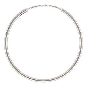 1.25x30.0mm Endless Hoop SPAT