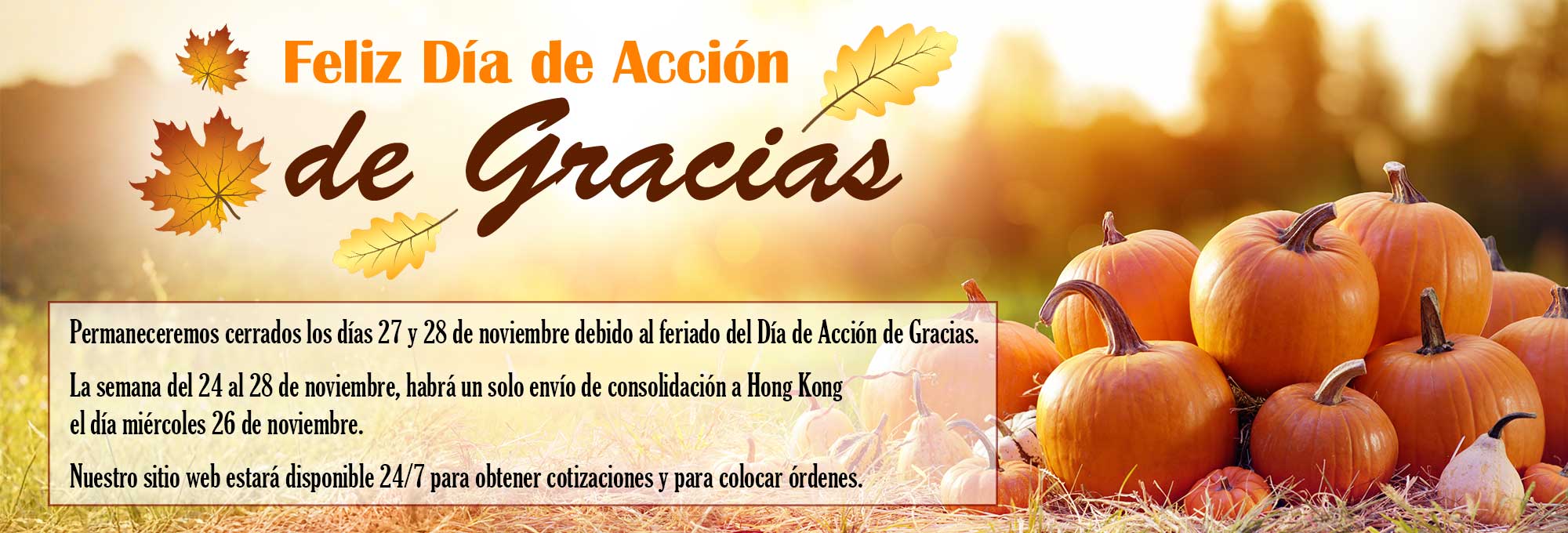 Feliz Día de Acción de Gracias